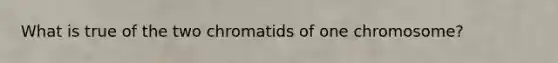 What is true of the two chromatids of one chromosome?