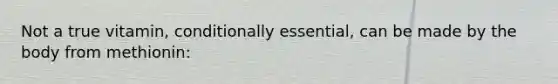 Not a true vitamin, conditionally essential, can be made by the body from methionin: