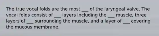 The true vocal folds are the most ___ of the laryngeal valve. The vocal folds consist of ___ layers including the ___ muscle, three layers of ___ surrounding the muscle, and a layer of ___ covering the mucous membrane.