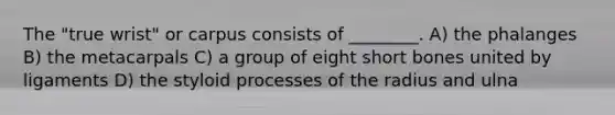 The "true wrist" or carpus consists of ________. A) the phalanges B) the metacarpals C) a group of eight short bones united by ligaments D) the styloid processes of the radius and ulna