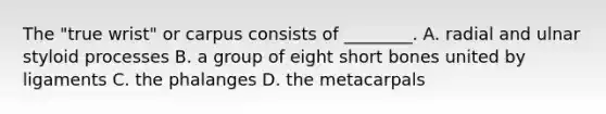 The "true wrist" or carpus consists of ________. A. radial and ulnar styloid processes B. a group of eight short bones united by ligaments C. the phalanges D. the metacarpals