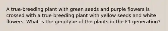 A true-breeding plant with green seeds and purple flowers is crossed with a true-breeding plant with yellow seeds and white flowers. What is the genotype of the plants in the F1 generation?