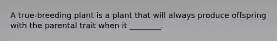 A true-breeding plant is a plant that will always produce offspring with the parental trait when it ________.