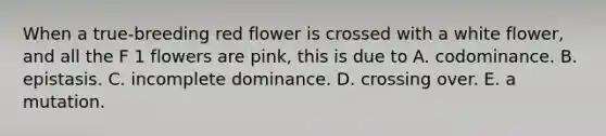 When a true-breeding red flower is crossed with a white flower, and all the F 1 flowers are pink, this is due to A. codominance. B. epistasis. C. incomplete dominance. D. crossing over. E. a mutation.