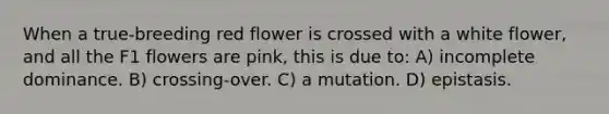 When a true-breeding red flower is crossed with a white flower, and all the F1 flowers are pink, this is due to: A) incomplete dominance. B) crossing-over. C) a mutation. D) epistasis.