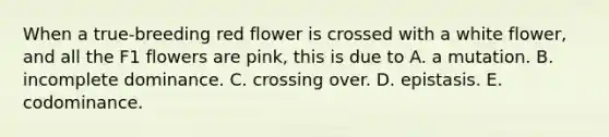 When a true-breeding red flower is crossed with a white flower, and all the F1 flowers are pink, this is due to A. a mutation. B. incomplete dominance. C. crossing over. D. epistasis. E. codominance.