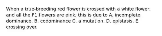 When a true-breeding red flower is crossed with a white flower, and all the F1 flowers are pink, this is due to A. incomplete dominance. B. codominance C. a mutation. D. epistasis. E. crossing over.