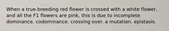 When a true-breeding red flower is crossed with a white flower, and all the F1 flowers are pink, this is due to incomplete dominance. codominance. crossing over. a mutation. epistasis.