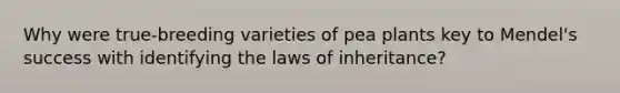 Why were true-breeding varieties of pea plants key to Mendel's success with identifying the laws of inheritance?