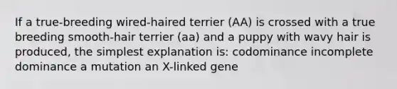 If a true-breeding wired-haired terrier (AA) is crossed with a true breeding smooth-hair terrier (aa) and a puppy with wavy hair is produced, the simplest explanation is: codominance incomplete dominance a mutation an X-linked gene