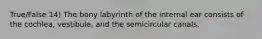 True/False 14) The bony labyrinth of the internal ear consists of the cochlea, vestibule, and the semicircular canals.