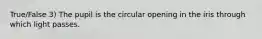 True/False 3) The pupil is the circular opening in the iris through which light passes.