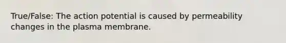 True/False: The action potential is caused by permeability changes in the plasma membrane.