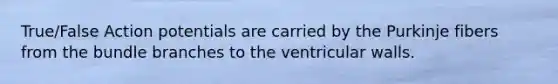 True/False Action potentials are carried by the Purkinje fibers from the bundle branches to the ventricular walls.