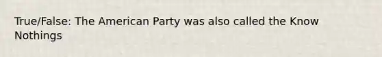 True/False: The American Party was also called the Know Nothings