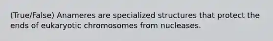 (True/False) Anameres are specialized structures that protect the ends of eukaryotic chromosomes from nucleases.