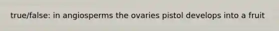 true/false: in angiosperms the ovaries pistol develops into a fruit