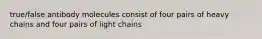 true/false antibody molecules consist of four pairs of heavy chains and four pairs of light chains