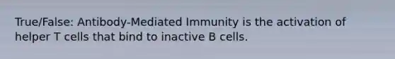 True/False: Antibody-Mediated Immunity is the activation of helper T cells that bind to inactive B cells.