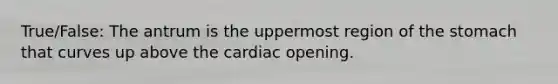 True/False: The antrum is the uppermost region of the stomach that curves up above the cardiac opening.