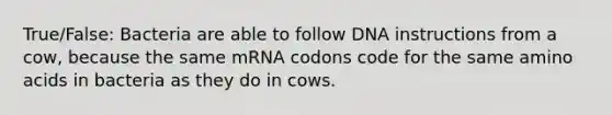 True/False: Bacteria are able to follow DNA instructions from a cow, because the same mRNA codons code for the same amino acids in bacteria as they do in cows.