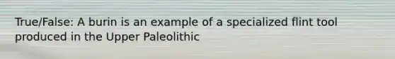 True/False: A burin is an example of a specialized flint tool produced in the Upper Paleolithic