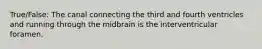 True/False: The canal connecting the third and fourth ventricles and running through the midbrain is the interventricular foramen.