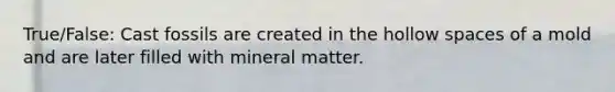 True/False: Cast fossils are created in the hollow spaces of a mold and are later filled with mineral matter.