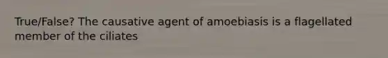 True/False? The causative agent of amoebiasis is a flagellated member of the ciliates