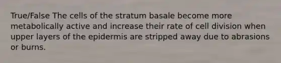 True/False The cells of the stratum basale become more metabolically active and increase their rate of <a href='https://www.questionai.com/knowledge/kjHVAH8Me4-cell-division' class='anchor-knowledge'>cell division</a> when upper layers of <a href='https://www.questionai.com/knowledge/kBFgQMpq6s-the-epidermis' class='anchor-knowledge'>the epidermis</a> are stripped away due to abrasions or burns.