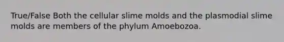 True/False Both the cellular slime molds and the plasmodial slime molds are members of the phylum Amoebozoa.