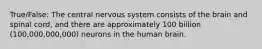 True/False: The central nervous system consists of the brain and spinal cord, and there are approximately 100 billion (100,000,000,000) neurons in the human brain.