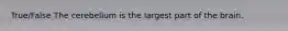 True/False The cerebellum is the largest part of the brain.