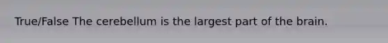True/False The cerebellum is the largest part of the brain.