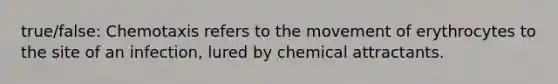 true/false: Chemotaxis refers to the movement of erythrocytes to the site of an infection, lured by chemical attractants.