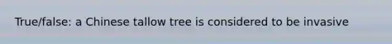 True/false: a Chinese tallow tree is considered to be invasive