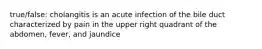 true/false: cholangitis is an acute infection of the bile duct characterized by pain in the upper right quadrant of the abdomen, fever, and jaundice