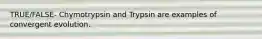 TRUE/FALSE- Chymotrypsin and Trypsin are examples of convergent evolution.