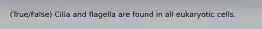 (True/False) Cilia and flagella are found in all eukaryotic cells.