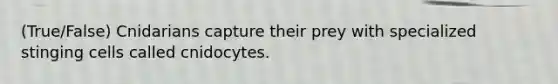 (True/False) Cnidarians capture their prey with specialized stinging cells called cnidocytes.