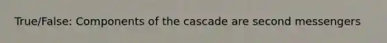 True/False: Components of the cascade are second messengers