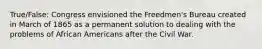 True/False: Congress envisioned the Freedmen's Bureau created in March of 1865 as a permanent solution to dealing with the problems of African Americans after the Civil War.