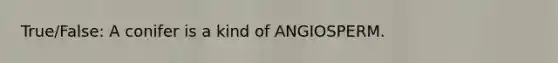 True/False: A conifer is a kind of ANGIOSPERM.