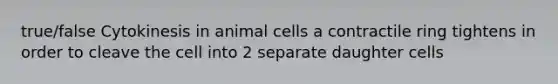 true/false Cytokinesis in animal cells a contractile ring tightens in order to cleave the cell into 2 separate daughter cells