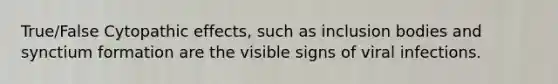 True/False Cytopathic effects, such as inclusion bodies and synctium formation are the visible signs of viral infections.