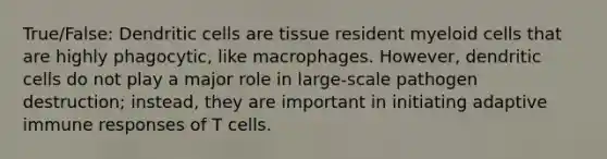 True/False: Dendritic cells are tissue resident myeloid cells that are highly phagocytic, like macrophages. However, dendritic cells do not play a major role in large-scale pathogen destruction; instead, they are important in initiating adaptive immune responses of T cells.