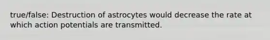 true/false: Destruction of astrocytes would decrease the rate at which action potentials are transmitted.