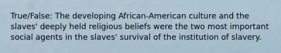 True/False: The developing African-American culture and the slaves' deeply held religious beliefs were the two most important social agents in the slaves' survival of the institution of slavery.