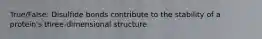 True/False: Disulfide bonds contribute to the stability of a protein's three-dimensional structure.