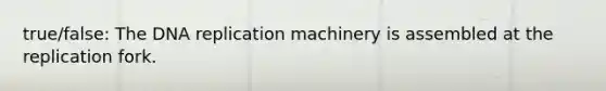 true/false: The DNA replication machinery is assembled at the replication fork.